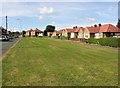 Grass verge, Thornton Road, Rastrick