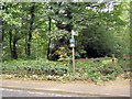 Footpath from A61 into Low Hall wood.