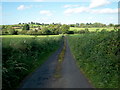 Ashtree Lane, leading to Ashtree Hill, Tandragee.