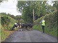 Traffic jam at Desertmartin