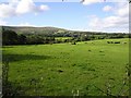 Lisnamuck Townland