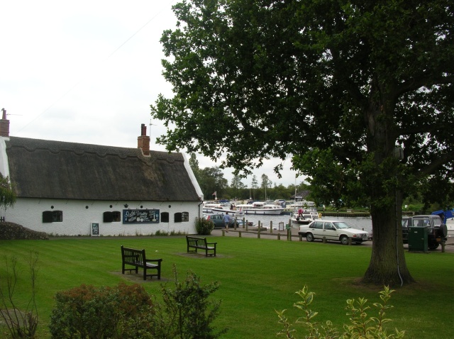 Horning reach Norfolk. Norfolk Horn.