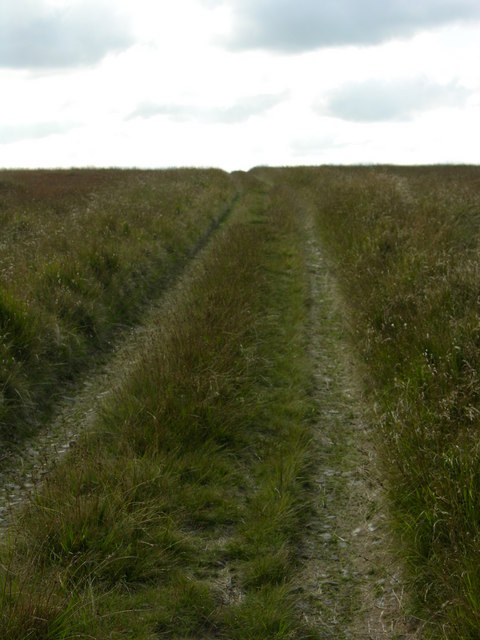 Footpath Edgerton Moss