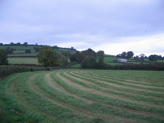 Farmland off Westcombe Road