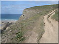 Coast path at Trenance Rock