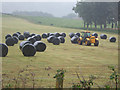 Collecting bales