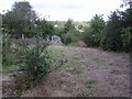 Vacant land, Omagh