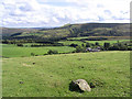 Improved pasture field on Naze Hill