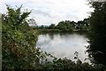 Pond Hear Greenhow Moor