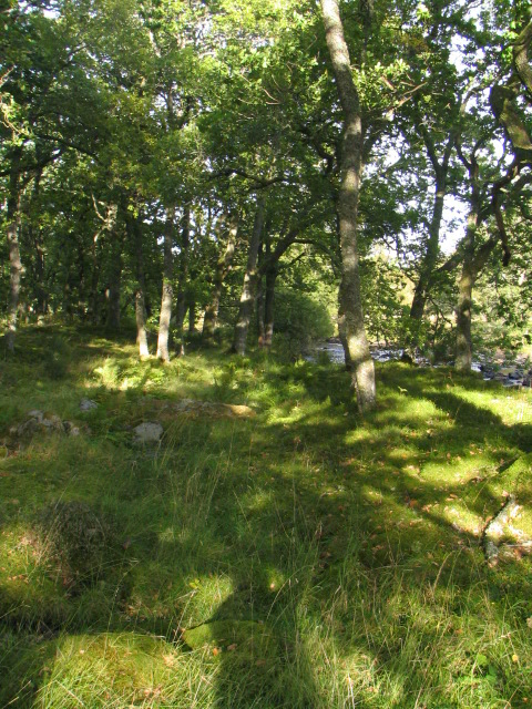 Island at Glenfender/ Braan confluence