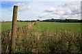 Field Near Greenhow Moor