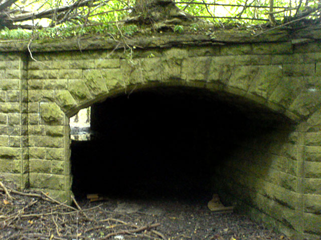 Forgotten tunnel