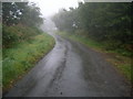 Looking up the lane