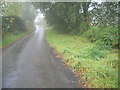 Looking up towards Cefn fforest