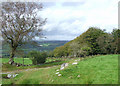 Byway and Teifi Valley Landscape, Ceredigion