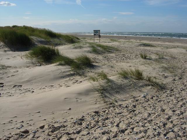 Embryo dunes © Hugh Venables :: Geograph Britain and Ireland