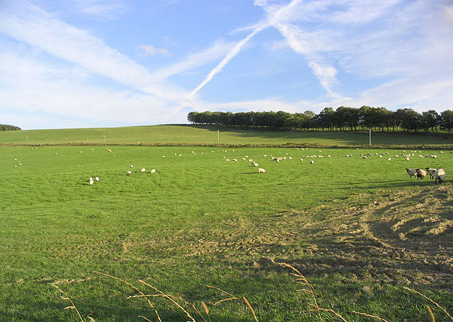 Farmland at Smedheugh