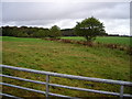 NY1467 : Fields Near Hitchill by Iain Thompson