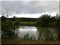 Match Pond At Summers Ponds