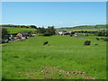 Farmland near Porth-yr-hirfaen