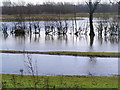 River Soar Flood Plain from Birstall Road