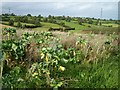 Country Landscape, Madden Road, Tandragee.