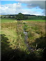 Cleuchbrae Burn at Manse Bridge