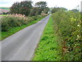 Minor Road Near Newmains