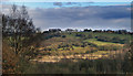 Chesterton School From Apedale Country Park