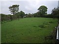 Paddock at Lower Thorn