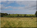 Lower slopes of North York Moors, Helmsley