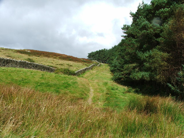 Wall and Track at Coed y Fron.