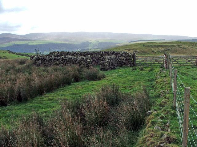 Sheepfold at the crossing.