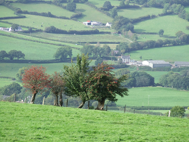 Teifi Valley east of Lampeter,... © Roger Kidd :: Geograph Britain and ...