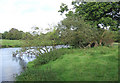 By the Afon Teifi, north of Llanfair Clydogau, Ceredigion