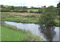 Afon Teifi at Llanfair Clydogau, Ceredigion