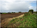 View north across ploughed field