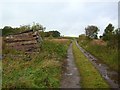 Farm Track up to wood at Bowscar