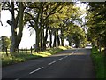 Country road to Stanmore House