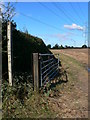 Footpath under the pylons