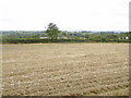 Ploughed field