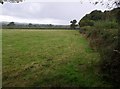 Field beside Round Pole Plantation