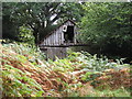 Old Building, Godshill