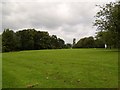 Looking uphill in the Park