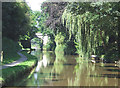 Approaching Tramroad Bridge, Macclesfield Canal, Cheshire