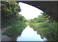 Macclesfield Canal, Congleton, Cheshire