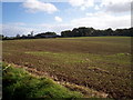 Farmland on the Kiddswell Road, Donaghacloney.