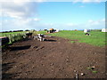 Intensive rearing of calves (2), Tonaghmore Road, Dromore.