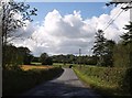 Road approaching Winswell