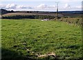 Field at Pinkhill Farm